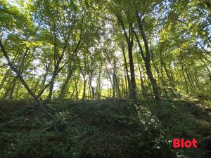 Achat Terrain 10 680m² LA VICOMTE SUR RANCE 22690