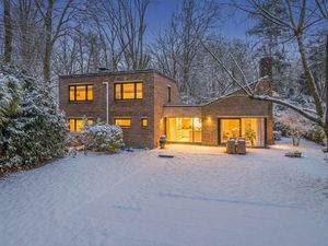 Karakterwoning met brutalistische gevel in Hof ter Linden