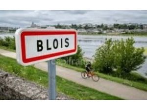 fonds de commerce à vendre BLOIS 50 pièce(s) 643m2 756 000€