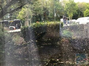 Appartement à louer à Avenue de Neptune 1 Forest (VBD69405)