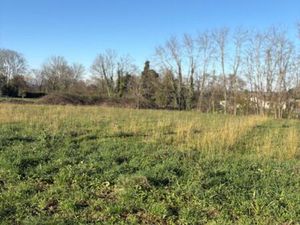 Vente terrain 1000 m² Branne (33420)