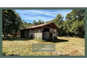 Bourriot-Bergonce - A renover - Batiment + dépendances - 8000m2