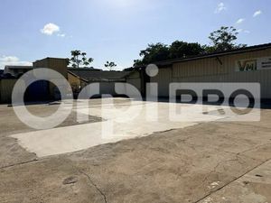 LOCAL D'ACTIVITE A LOUER