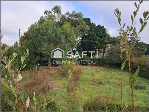 Vente Terrain à Angles (85750) : à vendre / 790m² Angles