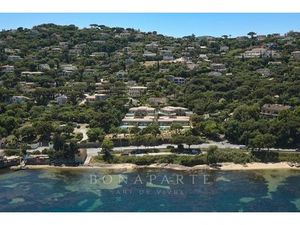 EXCLUSIVITE : Magnifique