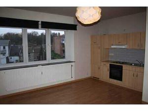 Appart 1 chambre très lumineux  séjour cuis éq  sdb  hall.