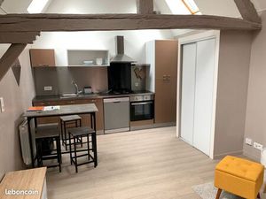 F1bis de charme avec balcon  hyper-centre Auxerre (100 mètres de Monoprix)