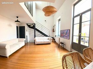 Duplex d'exception quai de Saône - Ile Barbe