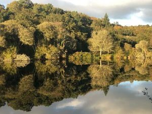 Maison de campagne avec piscine et parc arboré