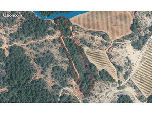 Vente parcelle - Castelnau-De-Guers (34) - Appel d'offre