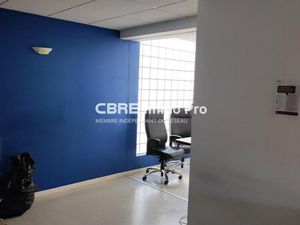 Location Local Professionnel 217m²