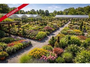 Vente pépinière - 25 minutes de Vannes (foncier / matériel et fonds de commerce)