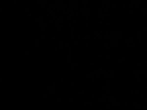 Recherche  cave  garage box  petit locale avec au moins 1 prise et de la lumière