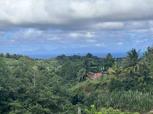 Terrain viabilisé 2290 m² au calme – Zone UBa2 – Le Lorrain