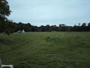 Emplacement pour tente en campagne