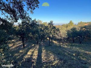 Terrain 1895 m² Montesquieu-des-Albères