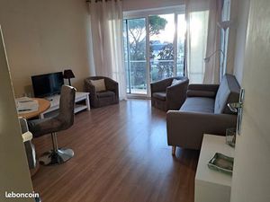 Centre de Pau T3 meublé  Boulevard des Pyrénées