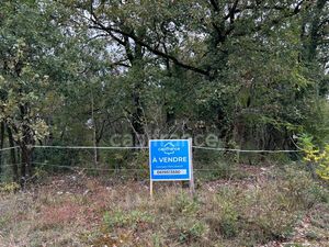 Terrain à vendre SAINT PANTALY D'EXCIDEUIL 16353m2 9 900€