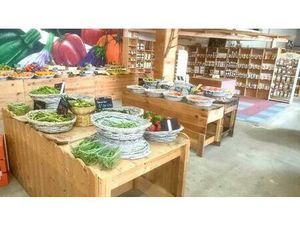 Vente murs pro à Prades