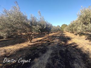 Achat Terrain 3 300m² POUZOLLES 34480