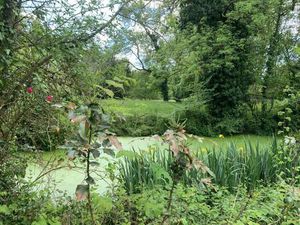 Maison mitoyenne avec 6 chambres  maison d'amis et dépendances