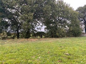 Achat Terrain 1 010m² BALMA 31130