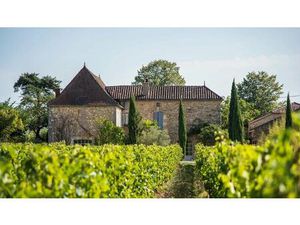 Domaine viticole bio avec belle maison de vigneron et chai tout équipé