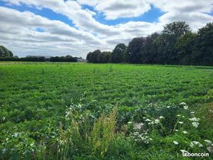 Terrain 438 m² Cherrueix