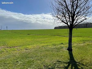 Terrain 509 m² Aviron