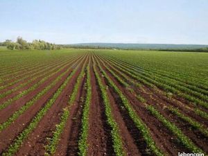 Recherche terrain agricole