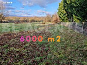 Terrain 6 000 m² Saint Aignan Le Jaillard
