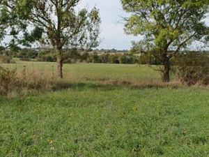Terrain de loisirs à 5 min d’Ancenis