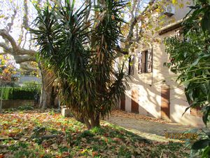 Location Maison 6 pièces 200m² MARIGNANE 13700