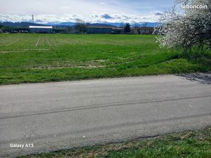 Terrain de 500 à 5000m2