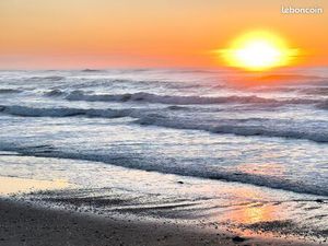 Couple cherche appartement