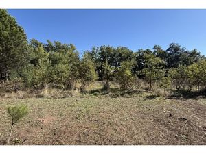 Annonce terrain à vendre