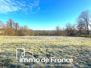 Vente terrain 4368m2 Vailhourles 12200 - 33000 € - Surface Privée