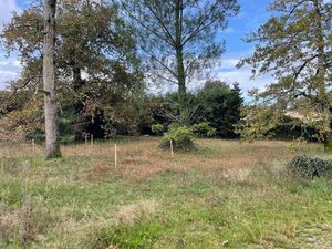 Annonce vente terrain terrain de 1m2 à Podensac (33720) - ParuVendu.fr ref 992784316417
