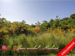 Achat Terrain 101 030m² CONTRES 41700