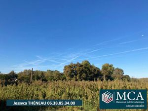 Annonce vente terrain terrain de 854m2 à Saugnac-et-cambran (40180) - ParuVendu.fr ref 992