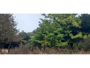 Vente terrain 700 m² Bordeaux (33000)