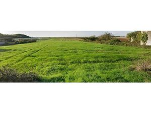 Achat Terrain 3 243m² MONTREUIL 85200