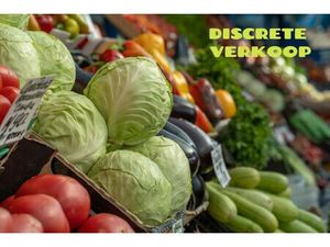 Huis te koop in Veurne