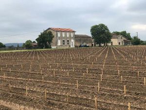 Location maison 6 pièces 150 m² à Portets (33640)