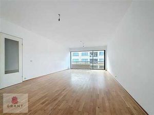 Spacieux appartement 1 chambres rénové!