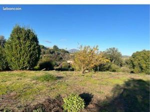 Terrain constructible