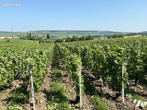 Terrain 820 m² BELVAL SOUS CHATILLON