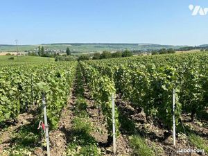 Terrain 1733 m² CUCHERY