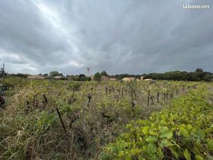 Terrain 247 m² Pinet