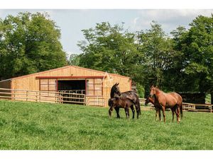 Vente haras / equestre La ferte mace  670m² 14 pièces 1 900 000€ Orne